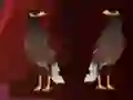 Gioco Peikin Duck Escape in linea