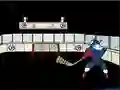 Gioco Capitaine Cage Hockey in linea