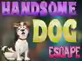 Gioco Handsome Dog Escape in linea