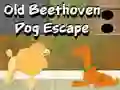 Gioco Old Beethoven Dog Escape in linea