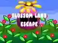 Gioco Blossom Land Escape in linea