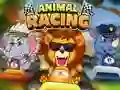 Gioco Animal Racing in linea