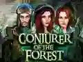 Gioco Conjurer Of The Forest in linea