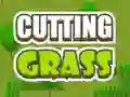 Gioco Cutting Grass in linea