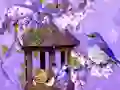 Gioco Wonderful Humming Bird Land Escape in linea
