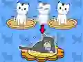 Gioco Cat Condo in linea