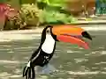 Gioco Find Woodpecker Pair in linea