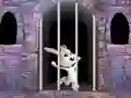Gioco Victory Rabbit Escape in linea