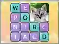 Gioco Word Search Pictures in linea