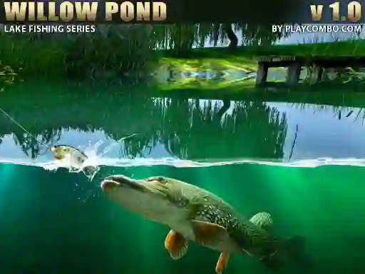 Gioco Willow Pond in linea