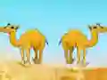 Gioco Desert Gold Rush The Great Treasure Escape in linea