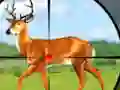 Gioco Wild Hunt Hunting Games 3D in linea