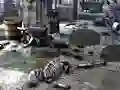 Gioco Friends Rescue From Skeleton in linea