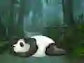 Gioco Wakeup The Sleeping Panda in linea