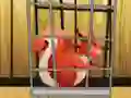 Gioco Rescue The Red Squirrel From Cage in linea