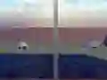Gioco Escape from the House with Turtles in linea