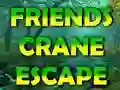 Gioco Friends Crane Escape in linea