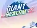 Gioco Giant Slalom in linea
