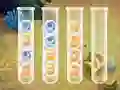 Gioco Sort Bubbles in linea