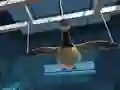 Gioco Goose Museum in linea