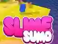 Gioco Sumo Slime 3D in linea