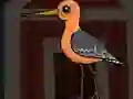 Gioco Cute Godwit Escape in linea