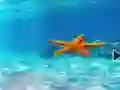 Gioco Escape From Underwater Starfish in linea