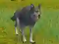 Gioco The Wolf: Wild Animal Simulator in linea