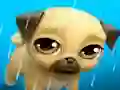 Gioco My Virtual Pet Louie the Pug in linea