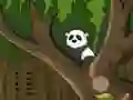 Gioco Panda Jungle Escape in linea