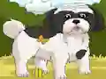 Gioco Dogs Spot the Diffs Part 2 in linea