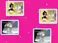 Gioco Baby Looney Tunes Match Up in linea