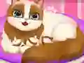 Gioco Cute Kitty Pregnant in linea