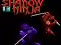 Gioco Shadow of the Ninja in linea