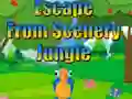 Gioco Escape from Scenery Jungle in linea