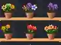 Gioco Good Flower Master in linea