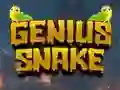 Gioco Genius Snake in linea