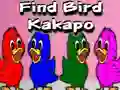 Gioco Find Bird Kakapo in linea