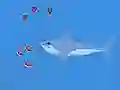 Gioco Oceans Shees in linea