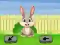 Gioco Springtime Escape in linea