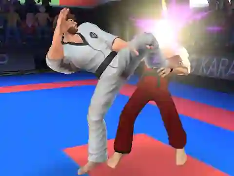 Gioco Karate Fighter in linea