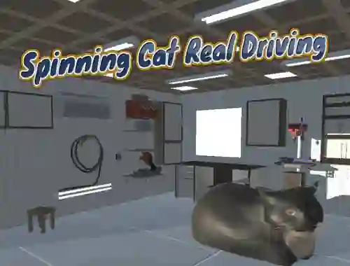 Gioco Spinning Cat Real Driving in linea