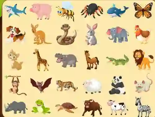 Gioco Discover Animals in linea