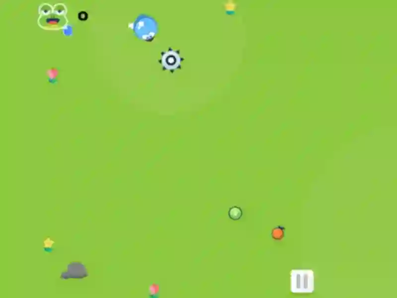 Gioco Snake And Fruits in linea