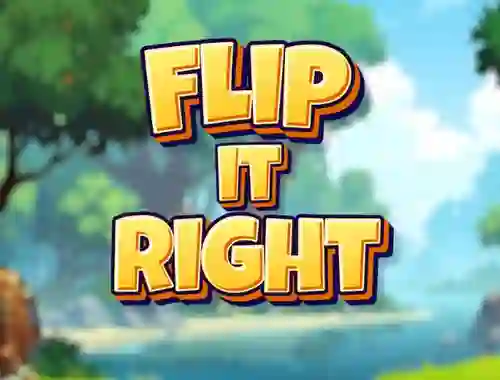 Gioco Flip It Right in linea