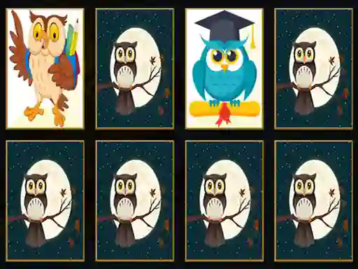 Gioco Cute Owl Memory in linea