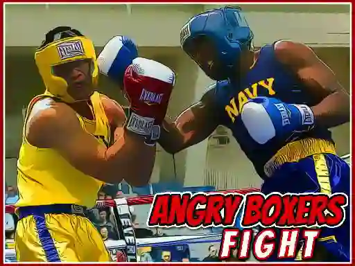 Gioco Angry Boxers Fight in linea