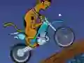 Gioco Scooby Doo Trail in linea
