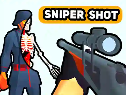 Gioco Sniper Shot: Bullet Time in linea