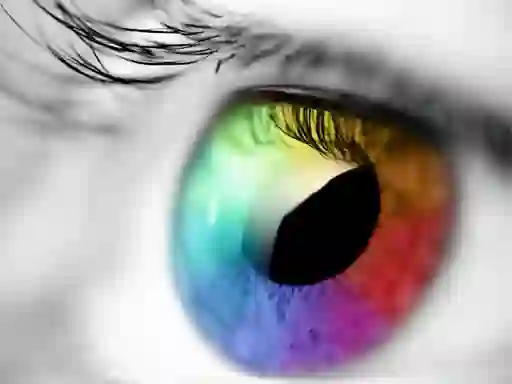 Gioco Colours And Designs in linea